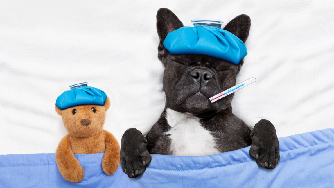 Main Banner Image - Emergency On-Call Care